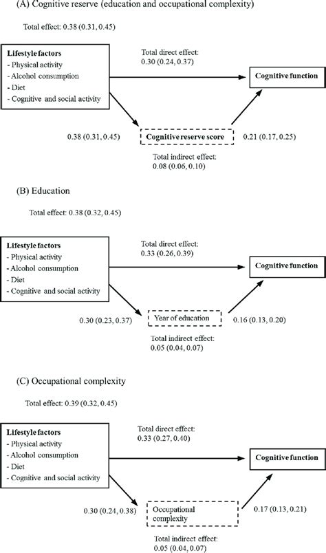 Associations Between Lifestyle Factors Cognitive Reserve And Download Scientific Diagram