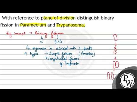 With Reference To Plane Of Division Distinguish Binary Fission In