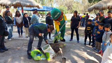 Conaf Arica Celebr El D A Del Rbol Plantando Rboles En Plazas Y