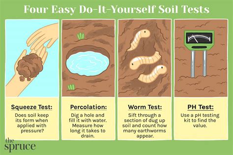 HOW TO GROW SWEET POTATOES IN WATER Houseplant Sweet Potato