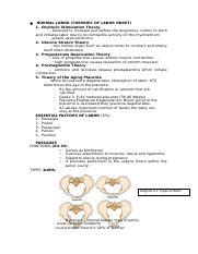 Intrapartum And Postpartum Nursing Care Docx Normal Labor Theories Of