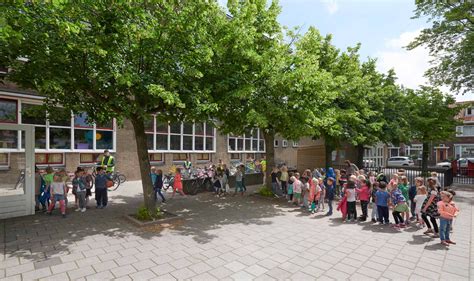 Een Schoolplein Met Een Verhaal De Dolfijn Haarlem