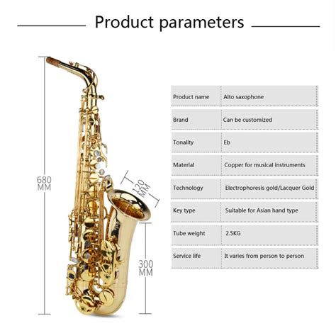 Slade Gold Eb Performance Practice Brass Instrument Alto Saxophone With