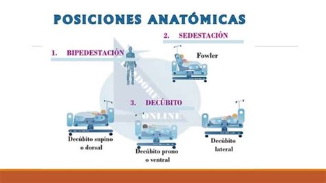 Posiciones Corporales Ppt