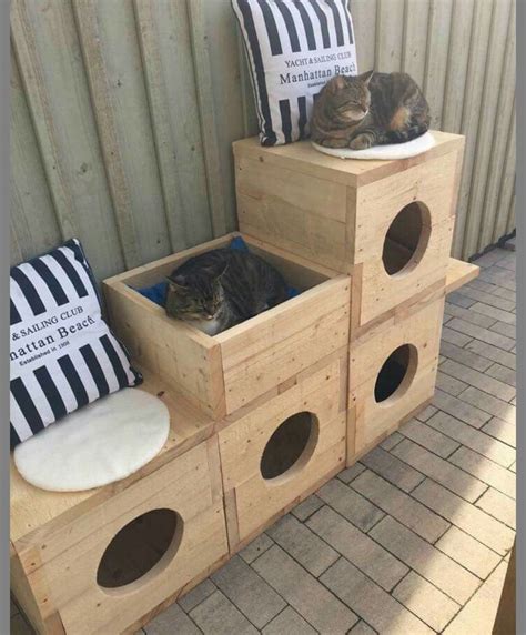 Feral Cat Shelter Outdoor Cat Shelter Outdoor Cat Enclosure Outdoor