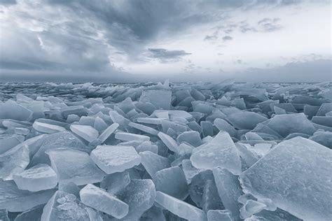 Bas Meelker In Beeld Natuurfotografie