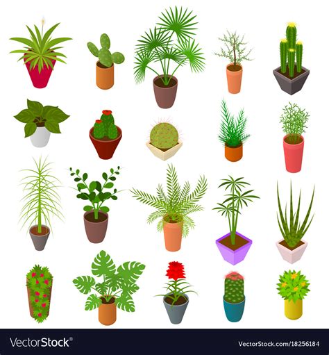 Green Plants In Pot Set Icons 3d Isometric View Vector Image