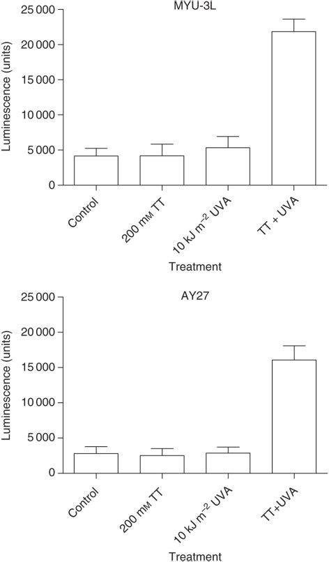 Caspase Activity Following Treatment With S Tdr And Uva Myu L