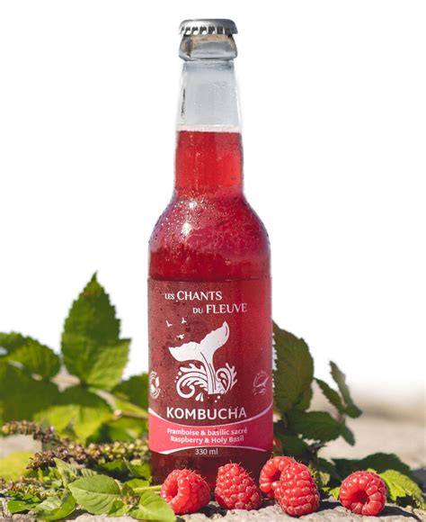 Kombucha framboise basilic sacré Les Saveurs du Bas Saint Laurent