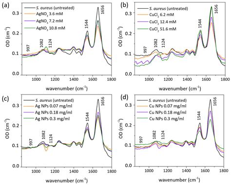 Nanomaterials Free Full Text Direct Bactericidal Comparison Of Metal Nanoparticles And Their