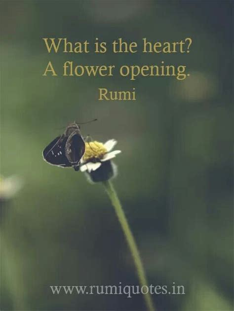 What Is The Heart A Flower Opening Rumi Sufi Master And Poet Rumi Quotes Rumi Love Quotes