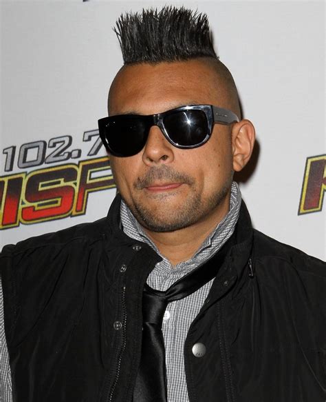 Sean Paul Braids And Cornrows Hairstyles Pictures