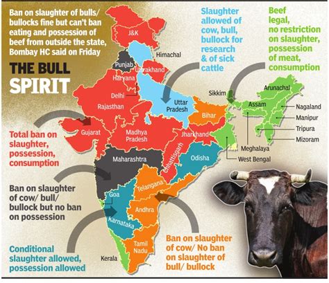 Cow slaughter: India - Indpaedia