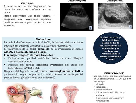 Portafolio electrónico de Ginecología y Obstetricia Brandon Arturo