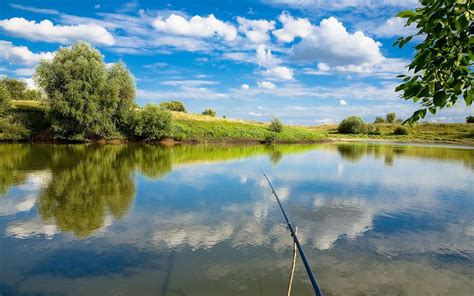 Desktop Wallpaper Fishing - WallpaperSafari