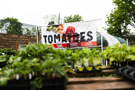 White Oak Gardens | Allison Steele | Brand & Web Designer, Photographer