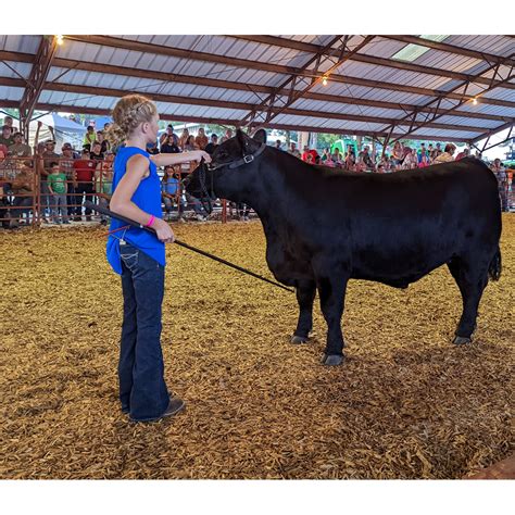 Gasconade County Fair Foundation Helping The Youth Of Gasconade County
