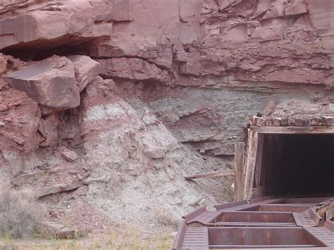 Why Dinosaur Fossils Are Radioactive Sometimes Beyondbones