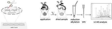 Dried Blood Spot Analysis With Liquid Chromatography And Mass