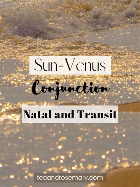 Sun Conjunct Venus Natal And Transit Tea And Rosemary