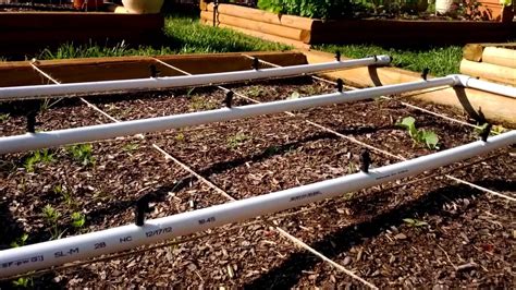 Closeup Of PVC Drip Irrigation YouTube