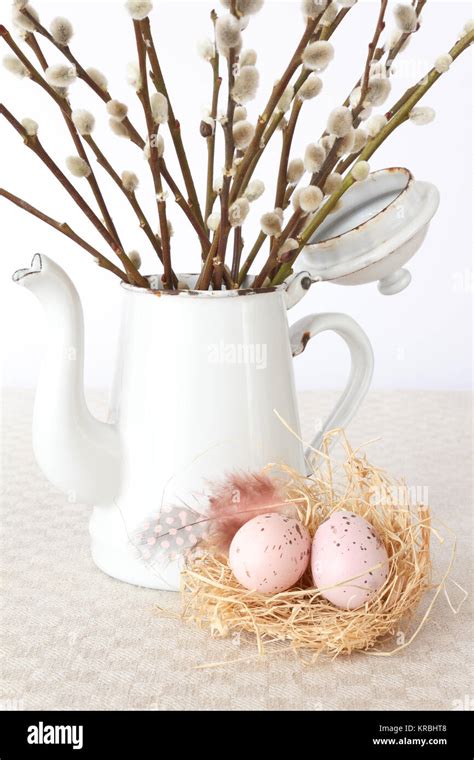 Pussy Willow Easter Eggs Nest Stock Photo Alamy