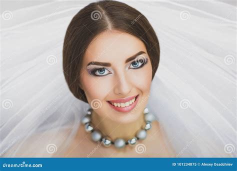 Perfect Brunette Bride Stock Image Image Of Adult Bridal