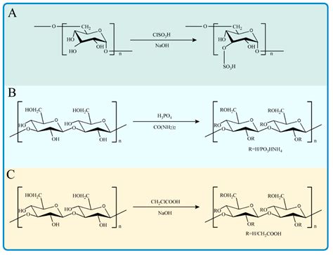 Antioxidant Activities Of Natural Polysaccharides And Their Derivatives