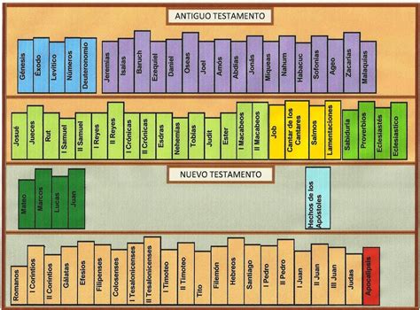 Cu Les Son Los Libros Del Nuevo Testamento Y La Libros Del