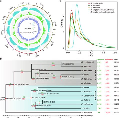 Genome Assembly Characterization And Genome Evolution Of D Download Scientific Diagram