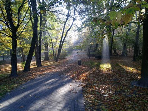 Park R W Chorzowie Dziennik Zachodni