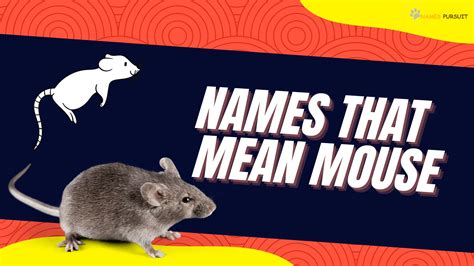 230+ Names That Mean Mouse - Creative Naming Guide