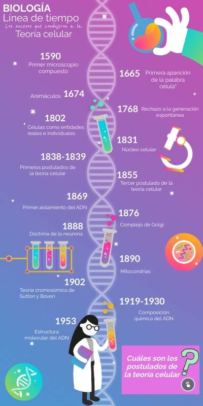 Línea de tiempo Teoría Celular