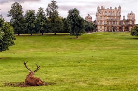 Wollaton Hall, Gardens and Deer Park - Heroes Of Adventure