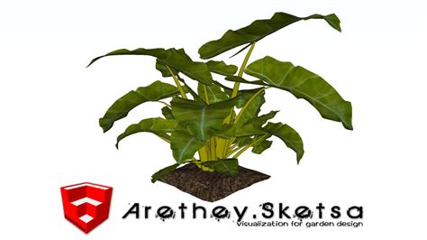 Philodendron 3d 3d Warehouse