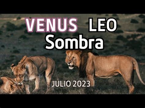 Venus Leo Sombra Pre Retr Grado Julio Qu Estas