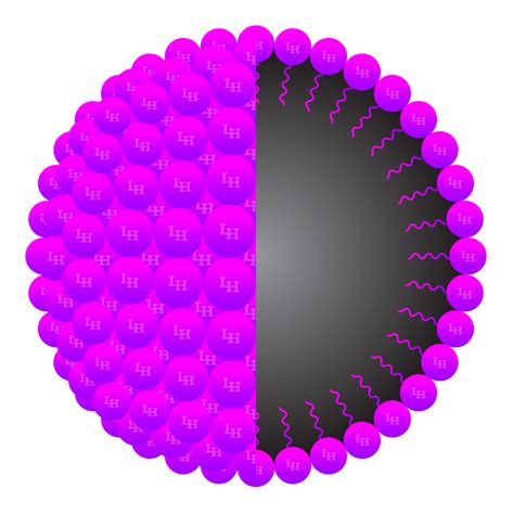 Nanoemulsion Particle Engineering Le Herbe