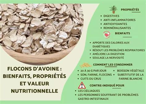 Pourquoi Et Comment Int Grer Les Flocons D Avoine Votre Alimentation