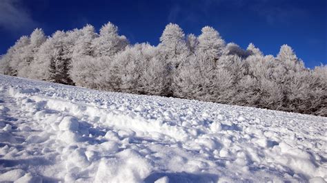 Bas Rhin La Préfecture Alerte Sur Le Risque De Coulées De Neige