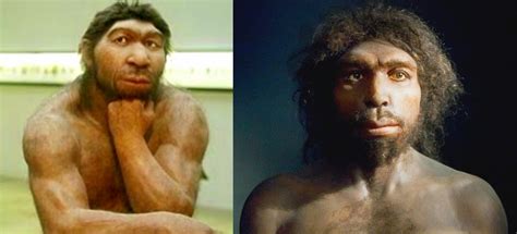 Web Oficial De Valeria Ardante Cuando El Homo Antecessor De Atapuerca