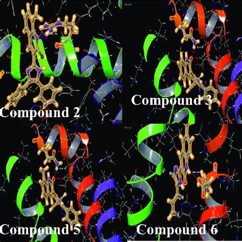 Molecular Docking Poses Of Compounds 1 6 With Rat Ho 1 1 Dve