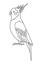 Parrot Outline Vector Images Over 3 700