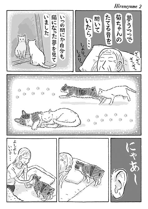 「2ページ猫漫画「お昼寝の夢」 」湊文『猫の菊ちゃん』の漫画