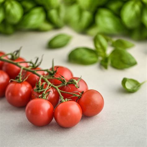 Tomatoes Basil Food Free Photo On Pixabay