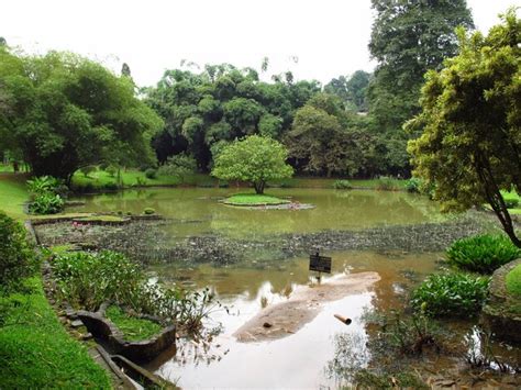 Premium Photo | Royal botanical gardens, kandy, sri lanka