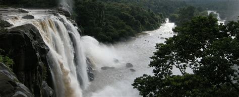 Kochi & Athirapally Waterfalls Tour (from Kochi)