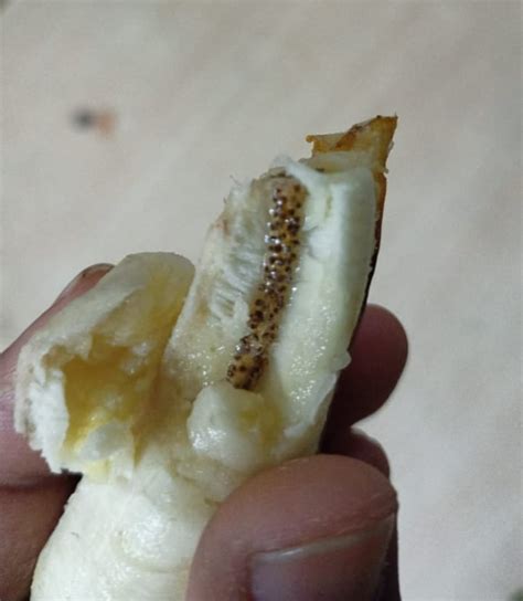 Banana with seeds in it : r/mildlyinteresting