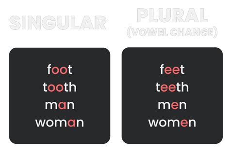 Irregular Plural Nouns M Rey