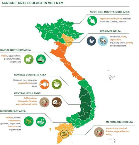 Vietnam Agro Factsheet Publicatie Agroberichten Buitenland