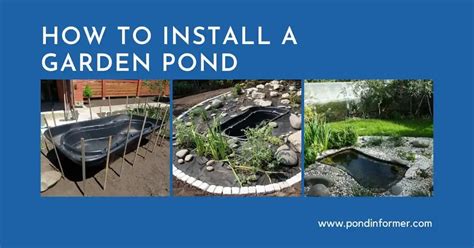 How To Build A Small Wildlife Pond Cheap And Easy Pond Informer